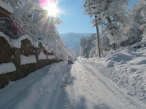 Гостевой Дом у горы Любава