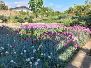 Гостевой дом Парк-отель Казантип Центр