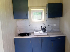 Глэмпинг Папоротник