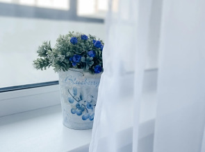 Апартаменты Евродвушка на Овчинникова 18