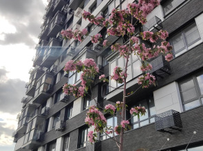 Апартаменты 8 марта 48/1