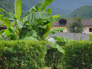 Гостевой дом ДОМИК В ДЕРЕВНЕ