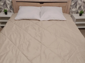 Квартира Ленгинка