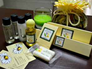 Хостел Ромашка