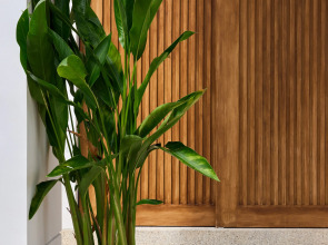 Вилла Phuket Paradise Retreat