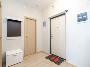 Апартаменты Cosmos Apart на Революции 52 В (2)