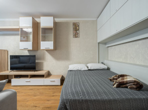 Квартира AsaPro на улице Лосевская