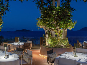 Отель Swissotel Resort Bodrum Beach