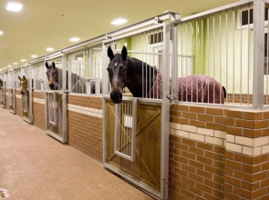 Бутик-отель Padok Premium Hotel & Stables