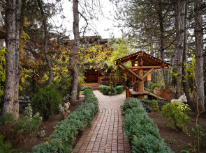 Отель Александр