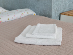 Квартира 1-комнатная возле Южного вокзала