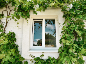 Отель Белая Ива