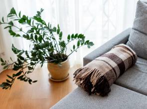 Апартаменты Якорь