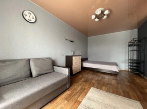 Апартаменты Unique Apart Фиалка рядом с РИАцентром и видом на Парк Ангелов на Ленина 32