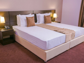 Отель Ani Central Inn