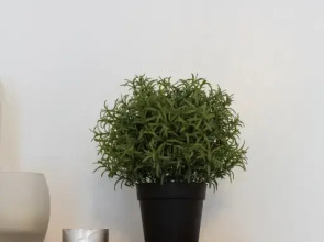 Апартаменты Ландау 2