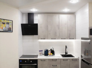 Апартаменты Loft Apartment/30A Lunnaya 1