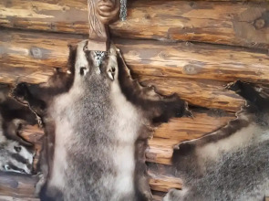 Гостевой дом Сказка