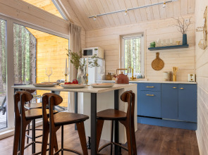 Частный дом в еловом лесу