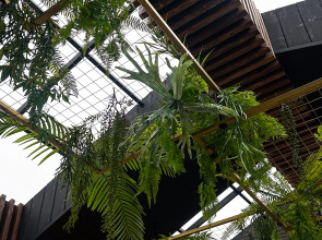 Гостевой дом Терем у реки