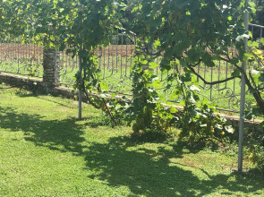 Вилла Апсуа