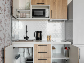 Апартаменты Griffin Apart у Константиновского Дворца