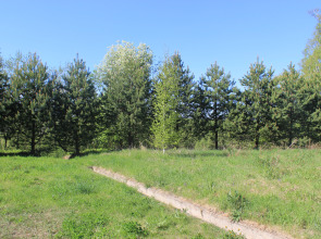 Гостевой дом Брейтово