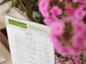 Мини-отель Подсолнухи