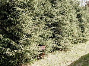 Квартира Апартаменты