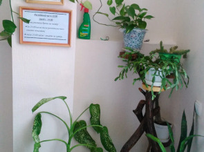 Na Raduzhnoy (Gelendzhik)