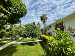 Мини-отель Alican Pension