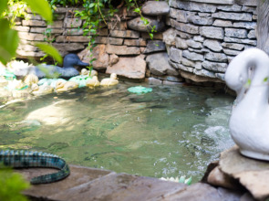 Гостевой Дом Каталония