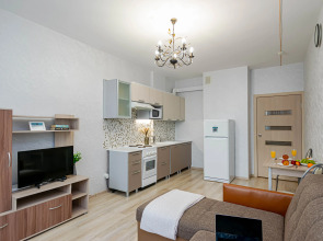 Апартаменты Cosmos Apart на Революции 48А (1)