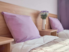 Гостевой дом Горное эхо