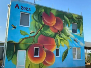 Гостевой дом Персиковый