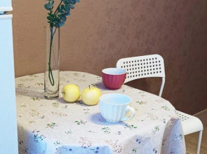 Квартира в Петропавловске-Камчатском