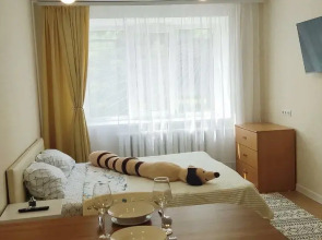 Квартира Студия Евро