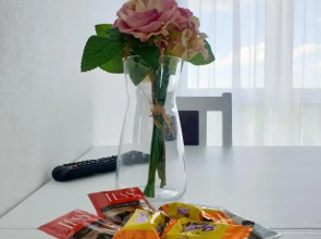 Апартаменты Apart39 Люкс на Гагарина 11