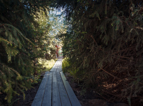 Бунгало Пляжный домик