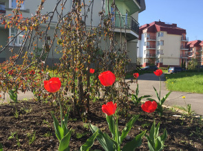 Апартаменты NewStory