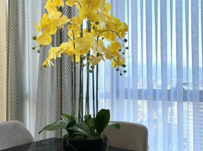 Квартира Красивая квартира