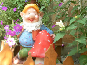 База Отдыха Солнечное