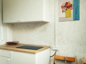 Меблированные комнаты с индивидуальной кухней На Просмушкиных