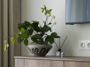 Апартаменты Чистый Воздух