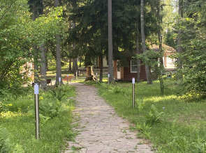 Отель Ruza Forest