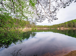 База отдыха Загородный клуб Радужный лес