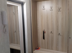 Квартира в центре города с новым ремонтом