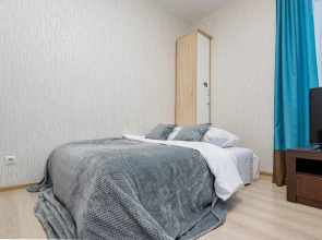 Апартаменты Cosmos Apart на Революции 52 В  (1)