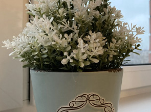 Апартаменты Версаль на Космонавтов