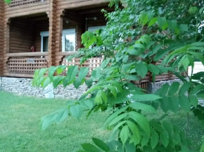 Гостевой Дом "Феникс"